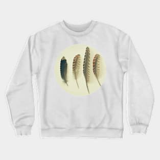 Feathers #2 Crewneck Sweatshirt